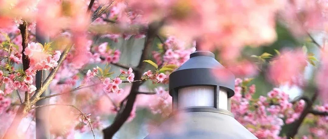 致敬了不起的她 | 眼中有光，心中有夢，世界因您而更美